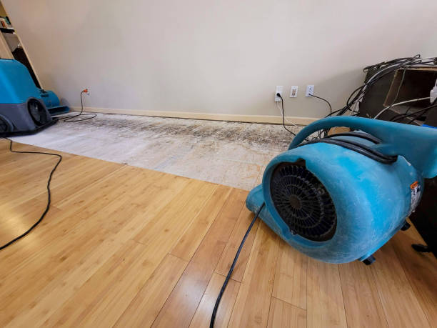 Professional Water Removal technician working in Grifton, NC